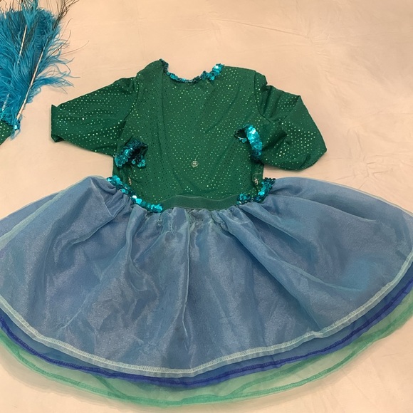 Chasing Fireflies Wishcraft Peackok Costume Sz 6. - Picture 11 of 16